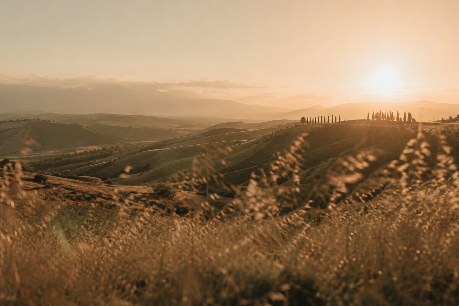 Hero Background Image